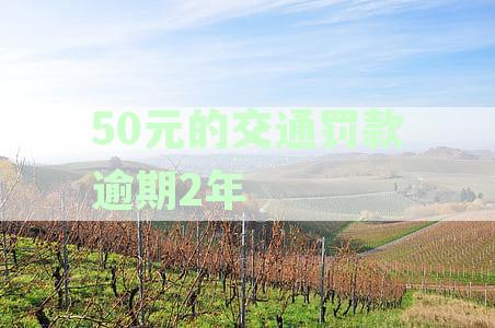 50元的交通罚款逾期2年