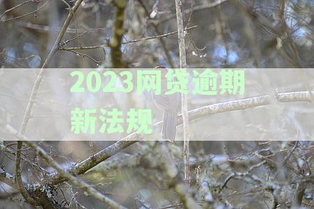 2023网贷逾期新法规解读-2023网贷逾期新法规解读视频
