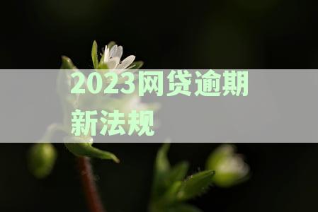2023网贷逾期新法规是什么-2023网贷逾期新法规是什么意思