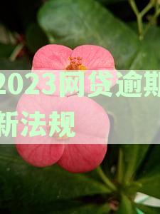 2023网贷逾期新法规定-2023网贷逾期新法规定是什么