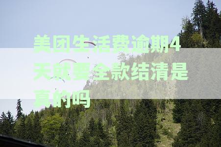 美团生活费逾期4天就要全款结清是真的吗还是假的-美团生活费逾期被要求全额还款