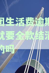 美团生活费逾期4天就要全款结清是真的吗安全吗-美团生活费逾期被要求全额还款