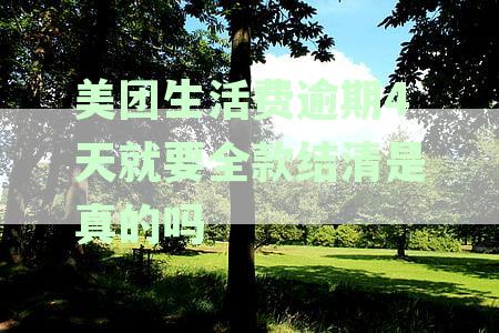 美团生活费逾期四天会要求一次性结清吗-美团生活费逾期四天会要求一次性结清吗