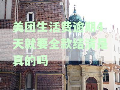 美团生活费逾期被要求全额还款-美团生活费逾期被要求全额还款是真的吗