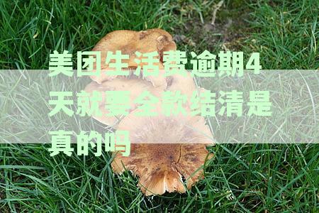 美团生活费逾期4天上征信吗-美团生活费逾期4天上征信吗有影响吗