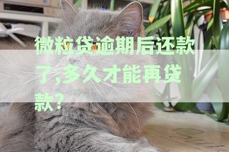 微粒贷逾期后还完款,多久可以再借款-微粒贷逾期后还完款,多久可以再借款?