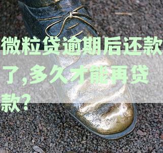 微粒贷逾期几天,还完还可以借出来么-微粒贷逾期几天,还完还可以借出来么
