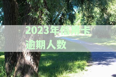 2023年信用卡逾期人数超多少了-2023年信用卡逾期人数超多少了呢