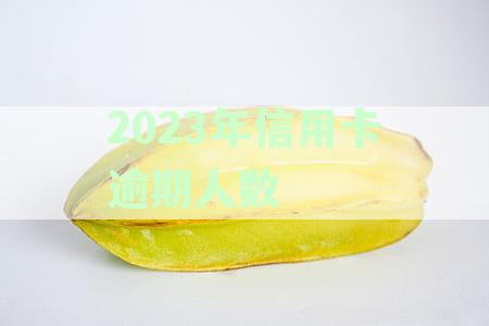 2023年信用卡逾期人数