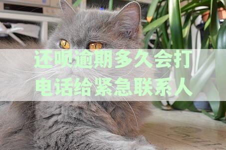 还呗逾期多久会打电话给紧急联系人电话-还呗逾期多久会打电话给紧急联系人电话