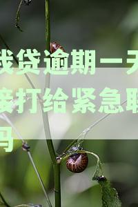 你我贷逾期一天会直接打给紧急联系人吗黑猫投诉-你我贷逾期两天会给紧急联系人打电话吗