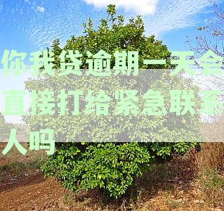 你我贷逾期一天会直接打给紧急联系人吗