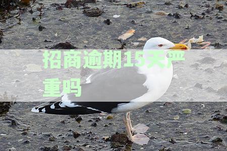 招商逾期15天严重吗：逾期影响与补救措详解