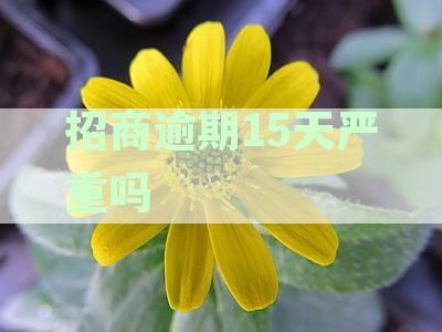 逾期十五天，招商怎么了？