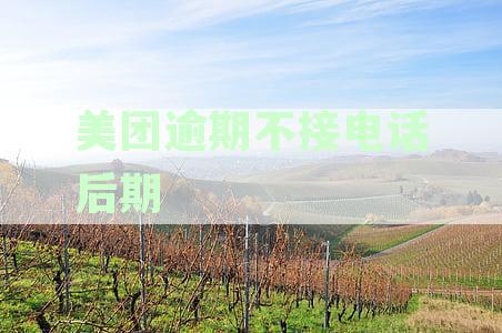 美团逾期不接电话后期
