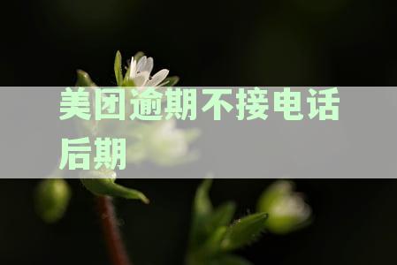 美团逾期突然不打电话了，怎么办？逾期会有何影响？