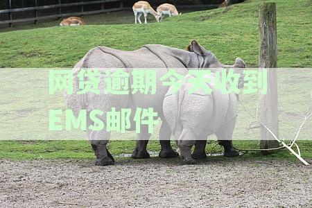 网贷逾期应对：今天收到EMS邮件无法签收的处理方法