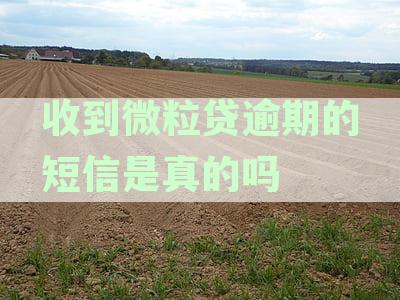 收到微粒贷催款短信如何处理：确认真伪与应对方法