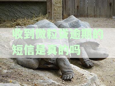 收到微粒贷短信通知会怎么样