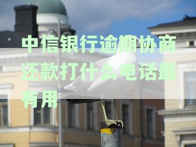 解决中信银行逾期协商还款问题，这个电话最有效！