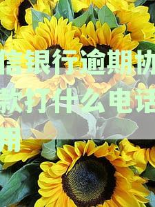 中信银行协商还款打哪个电话：成功经验分享