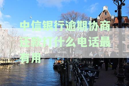 中信银行债务重组取得突破，天涯论坛用户成功协商还款