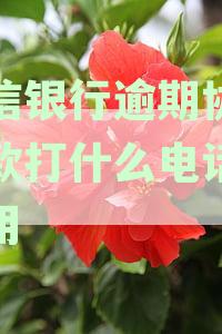 中信银行逾期协商还款打什么电话最有用