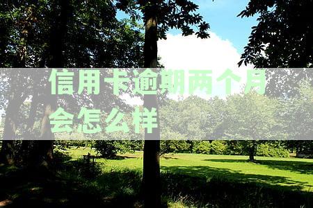 信用卡逾期两个月会怎么样后面还可以每个月最低还款吗-我信用卡逾期2个月该怎么办