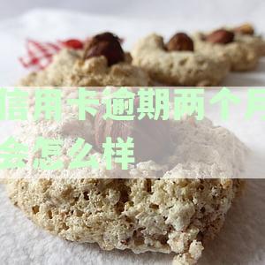 信用卡逾期还款两个月的影响及补救措