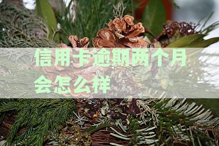 信用卡逾期两个月会怎么样