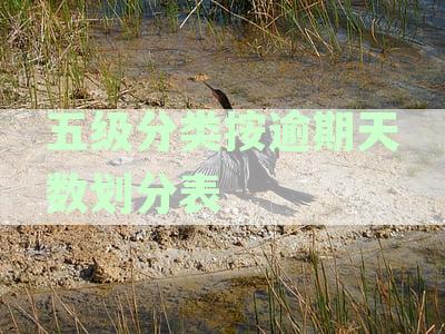 五级分类按逾期天数划分表最新:逾期天数与五级分类对应关系标准