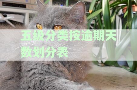 深入解析逾期90天以上贷款五级分类体系