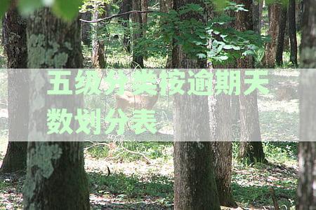 逾期风险等级划分5个等级含义及评估方法
