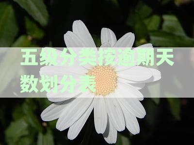 五级不良贷款划分标准：揭秘银行风险管理策略
