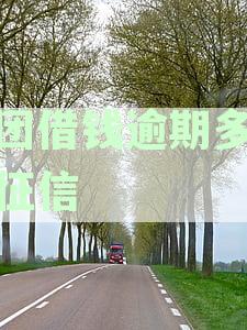 探讨美团借钱与借呗逾期上征信的时间差异