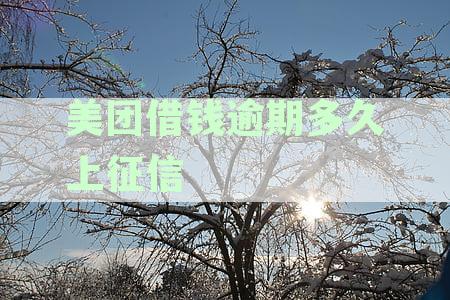 美团借钱逾期多久上征信