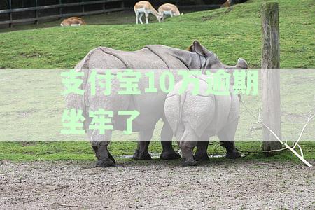 支付宝10万逾期坐牢了会怎样处理和处罚
