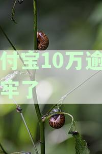 细说支付宝逾期十多万可能带来的法律后果