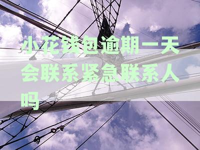 小花钱包逾期一天会打紧急联系人吗,逾期两天会不会联系通讯录安全吗