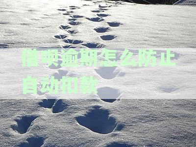 借呗逾期如何取消自动还款功能？