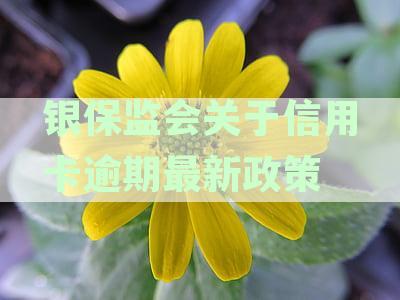 银保监会关于信用卡逾期最新政策通知：综合声明