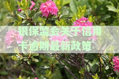 银保监会出台新政策：对信用卡逾期行为进行严格监管