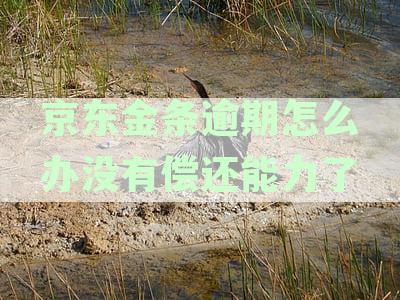 京东金条逾期了还款是否能正常借款，逾期后果及解决办法