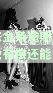 京东金条逾期怎么办没有偿还能力了