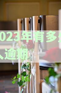 2023年逾期负债人数创新高：逾4亿民众面临债务困境