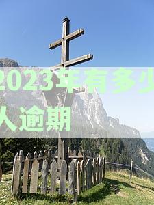 2023年逾期人数统计：逾期情况全景解析