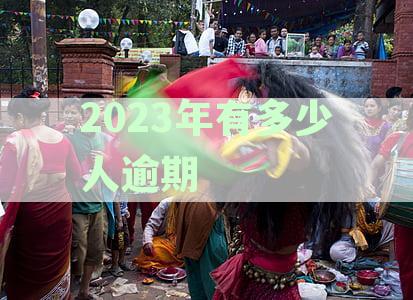 2023年多少人逾期信用卡:影响使用与起诉比例分析