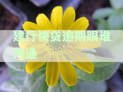 建行快贷服务遭用户嫌弃：过于繁琐不便捷