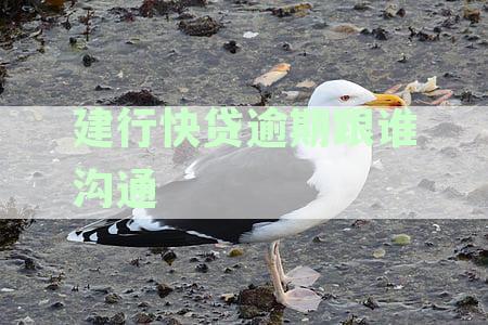建行快贷无力偿还怎么办-逾期无力还款最佳处理方法