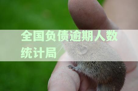 我国负债人数高达7亿，逾期率惊人达42%